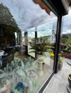 Glaswand mit Pflanzen im Innenbereich und Blick auf die Umgebung, die durch das Glas reflektiert wird.